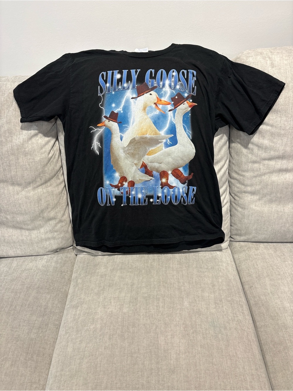 Silly Goose Black Graphic Tee for Women